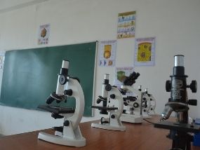 schools in delhi